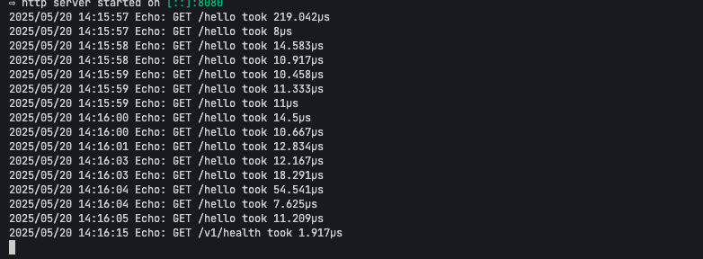 Golang Echo